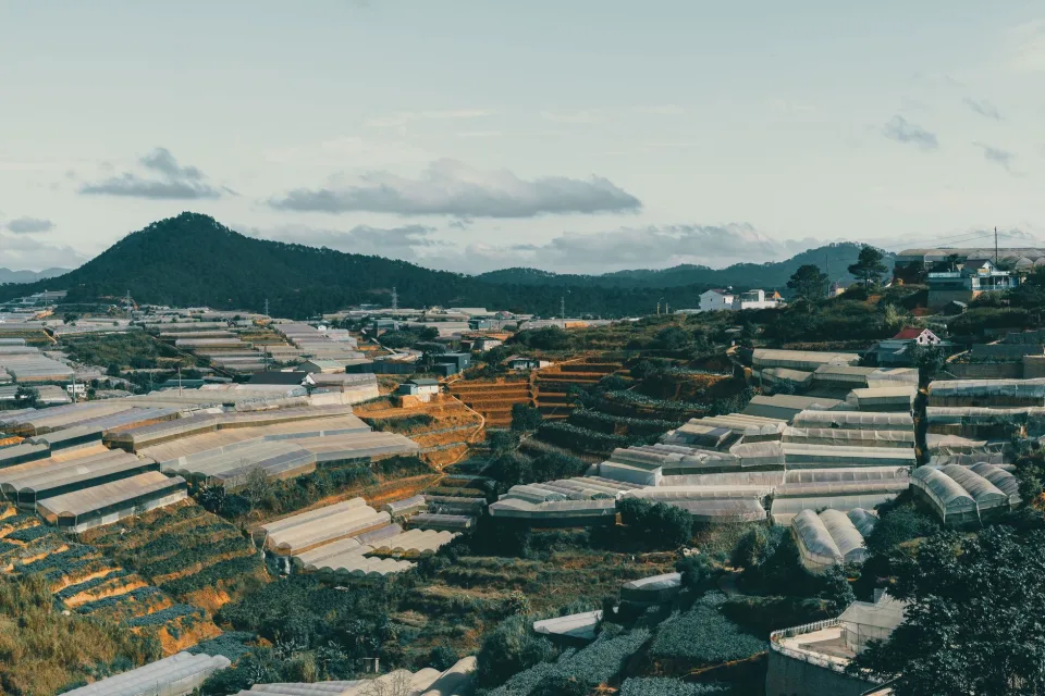 Tại Valley Kheram